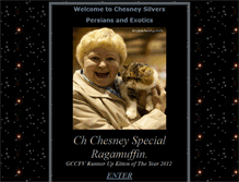 Tablet Screenshot of chesneysilvers.com
